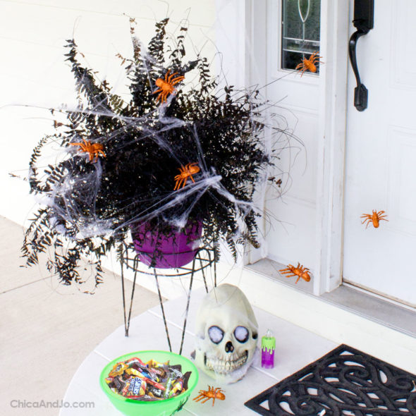 Budget-friendly DIY Halloween decor: Black spray painted fern in a yellow pot is strung with faux spider web and orange spiders. Appears next to a white front door adorned with a bowl of Halloween candy and fake skull.