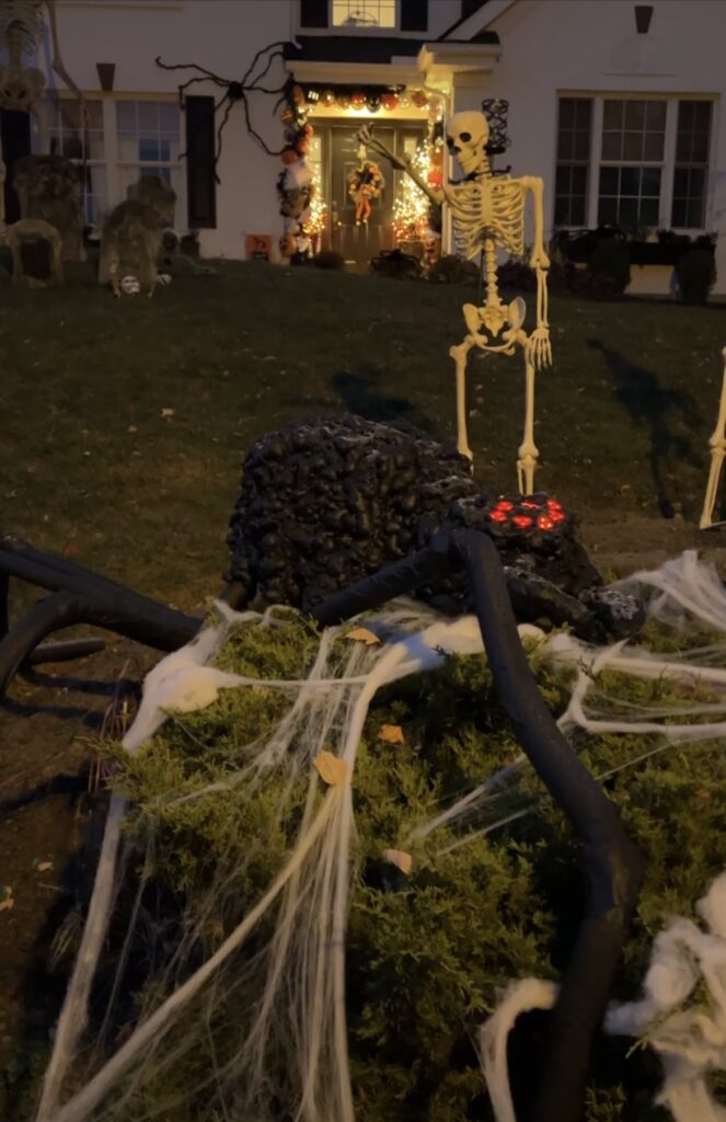 Budget-friendly DIY Halloween decor: Faux black giant spider rests atop green bushes covered with faux spiderweb. In the background are tall plastic skeletons and a Halloween-decorated white house. 